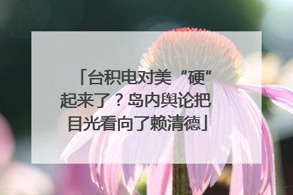 台积电对美“硬”起来了？岛内舆论把目光看向了赖清德